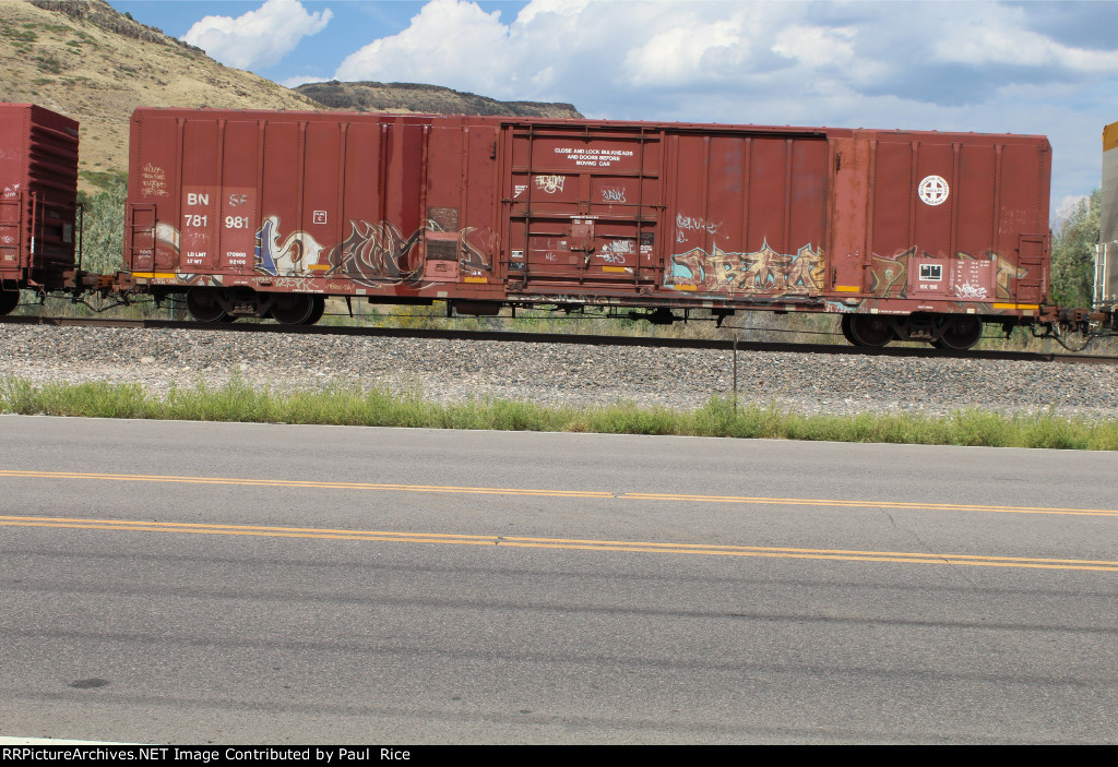 BNSF 781981